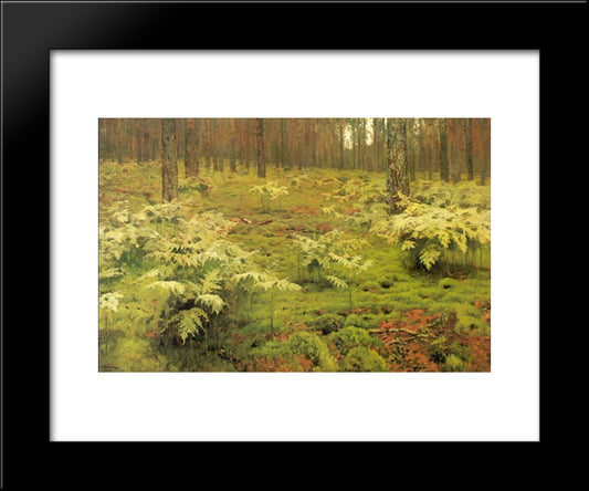 Ferns In A Forest 20x24 Black Modern Wood Framed Art Print Poster by Levitan, Isaac
