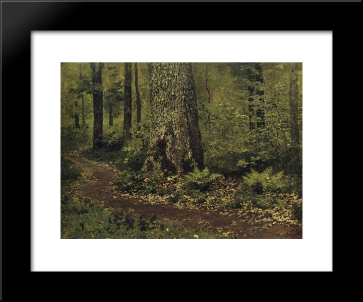 Footpath In A Forest. Ferns. 20x24 Black Modern Wood Framed Art Print Poster by Levitan, Isaac
