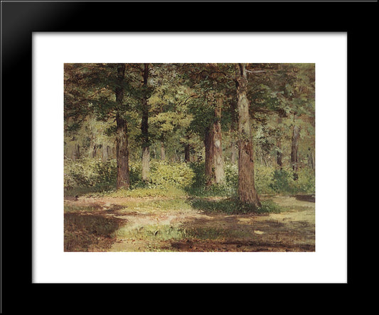 Forest. Sunny Day. 20x24 Black Modern Wood Framed Art Print Poster by Levitan, Isaac
