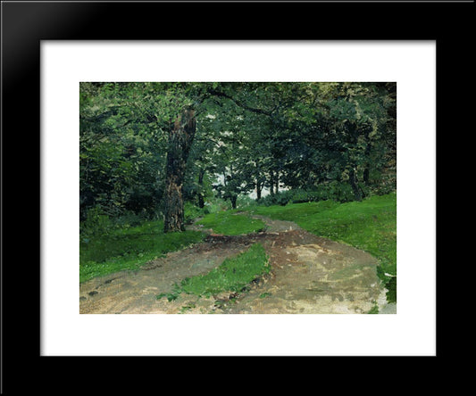 Forest 20x24 Black Modern Wood Framed Art Print Poster by Levitan, Isaac