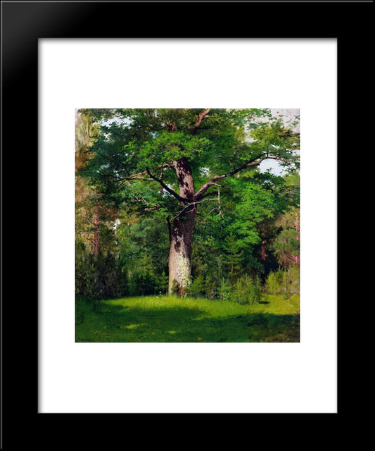 Oak 20x24 Black Modern Wood Framed Art Print Poster by Levitan, Isaac