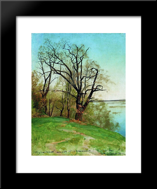 Oak On The Riverbank 20x24 Black Modern Wood Framed Art Print Poster by Levitan, Isaac