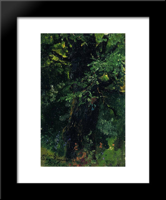 Oak Trunk In Early Summer 20x24 Black Modern Wood Framed Art Print Poster by Levitan, Isaac