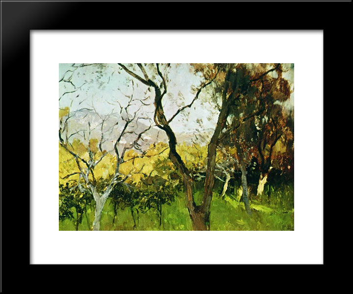 Spring In Crimea 20x24 Black Modern Wood Framed Art Print Poster by Levitan, Isaac