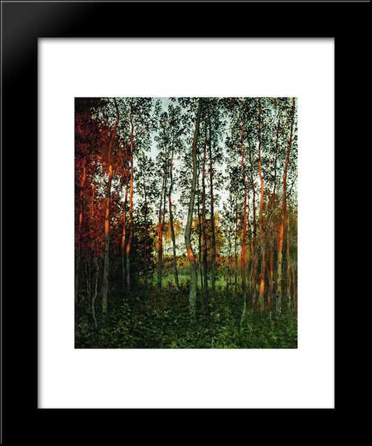 The Last Rays Of The Sun. Aspen Forest. 20x24 Black Modern Wood Framed Art Print Poster by Levitan, Isaac