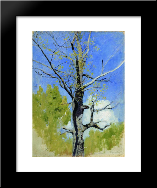 Trunk Of Burgeoning Oak 20x24 Black Modern Wood Framed Art Print Poster by Levitan, Isaac