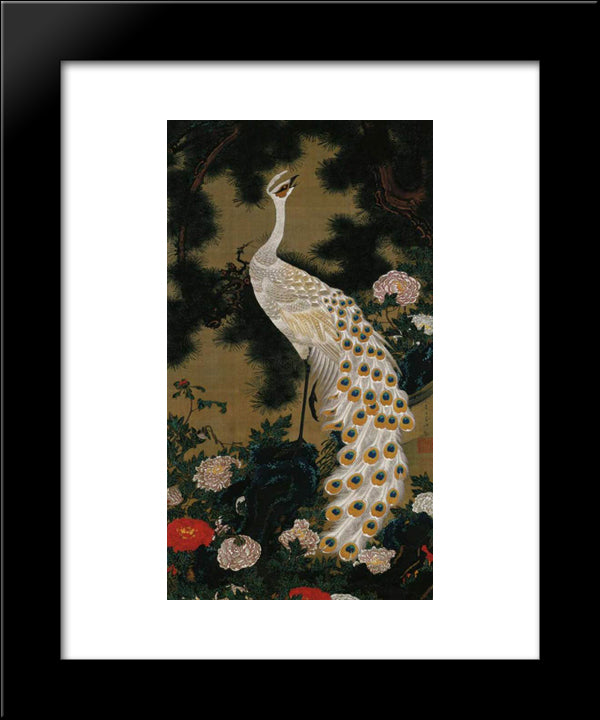 Old Pine Tree And Peacock 20x24 Black Modern Wood Framed Art Print Poster by Jakuchu, Ito