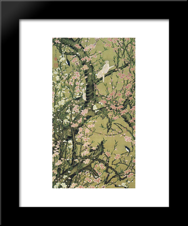 Touka Shoukinzu 20x24 Black Modern Wood Framed Art Print Poster by Jakuchu, Ito