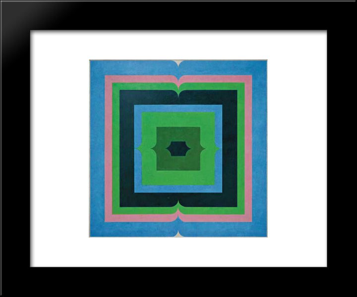 Serie Amazonica No 27 20x24 Black Modern Wood Framed Art Print Poster by Serpa, Ivan