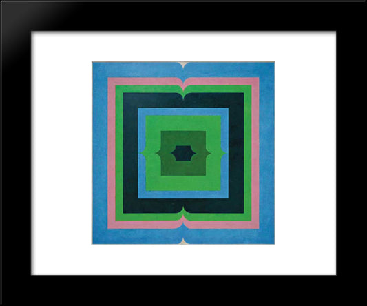 Serie Amazonica No 27 20x24 Black Modern Wood Framed Art Print Poster by Serpa, Ivan