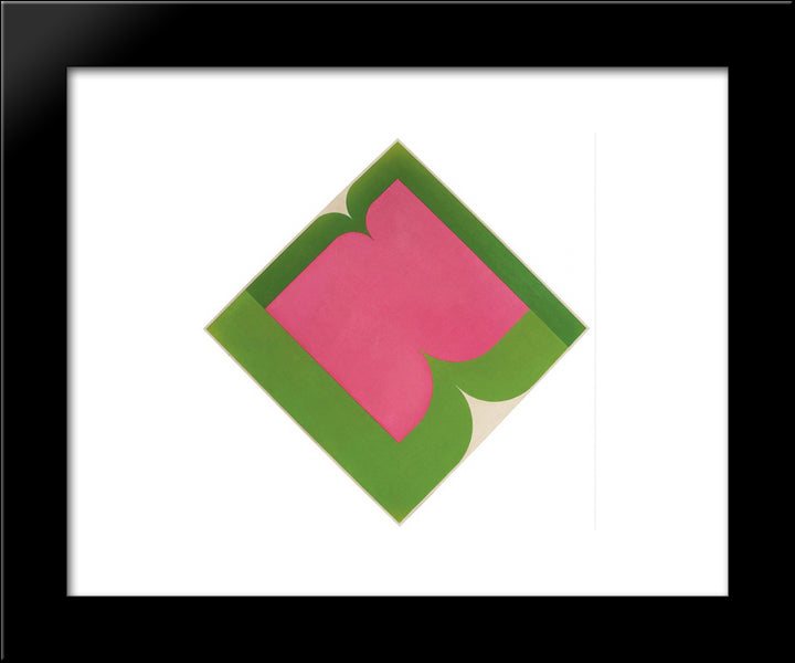 Serie Amazonica No 14 20x24 Black Modern Wood Framed Art Print Poster by Serpa, Ivan