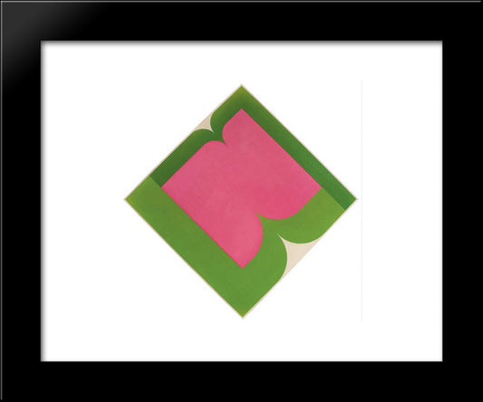Serie Amazonica No 14 20x24 Black Modern Wood Framed Art Print Poster by Serpa, Ivan