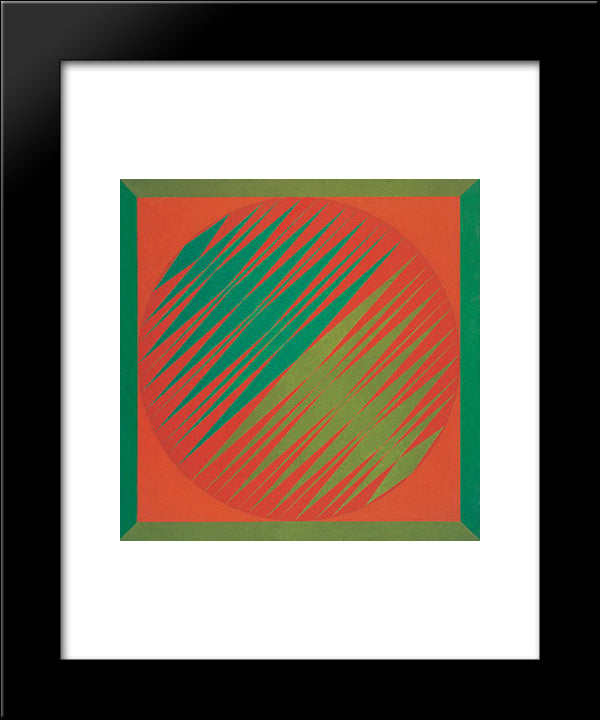 Serie Amazonica No 2 20x24 Black Modern Wood Framed Art Print Poster by Serpa, Ivan