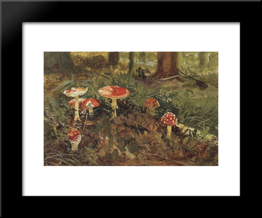 Amanita 20x24 Black Modern Wood Framed Art Print Poster by Shishkin, Ivan
