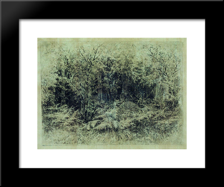 Anthill 20x24 Black Modern Wood Framed Art Print Poster by Shishkin, Ivan