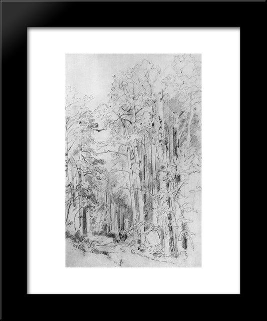 Aspen On The Way To Kivach 20x24 Black Modern Wood Framed Art Print Poster by Shishkin, Ivan