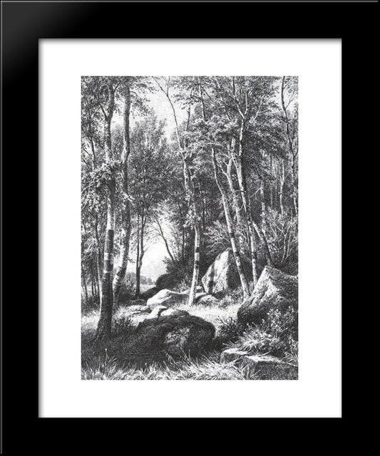 At The Edge Of A Birch Grove. Valaam 20x24 Black Modern Wood Framed Art Print Poster by Shishkin, Ivan