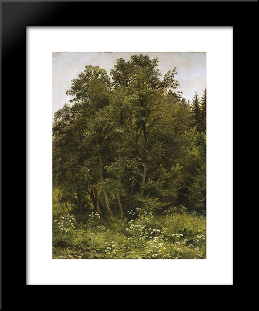 At The Edge Of The Forest 20x24 Black Modern Wood Framed Art Print Poster by Shishkin, Ivan