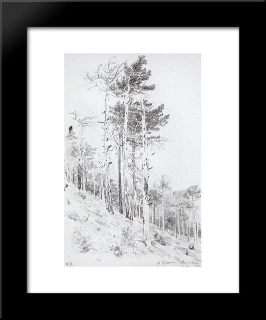 At The Top Of The Ai-Petri 20x24 Black Modern Wood Framed Art Print Poster by Shishkin, Ivan