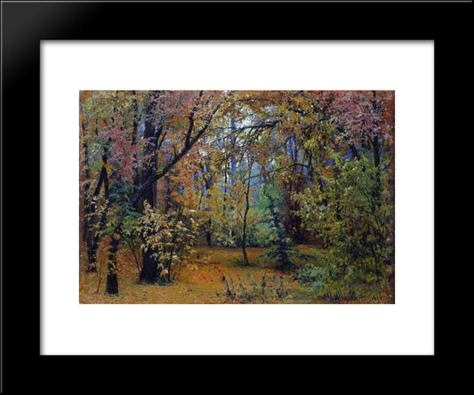 Autumn Forest 20x24 Black Modern Wood Framed Art Print Poster by Shishkin, Ivan