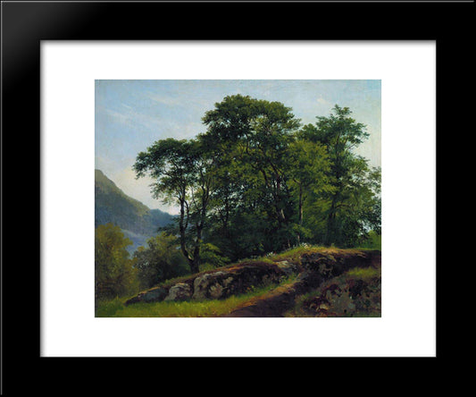 Beech Forest In Switzerland 20x24 Black Modern Wood Framed Art Print Poster by Shishkin, Ivan
