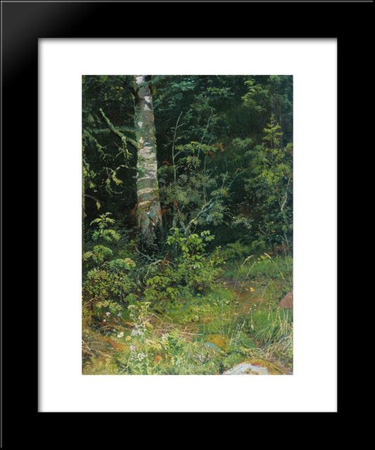 Birch And Mountain Ash 20x24 Black Modern Wood Framed Art Print Poster by Shishkin, Ivan
