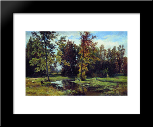 Birch Forest 20x24 Black Modern Wood Framed Art Print Poster by Shishkin, Ivan