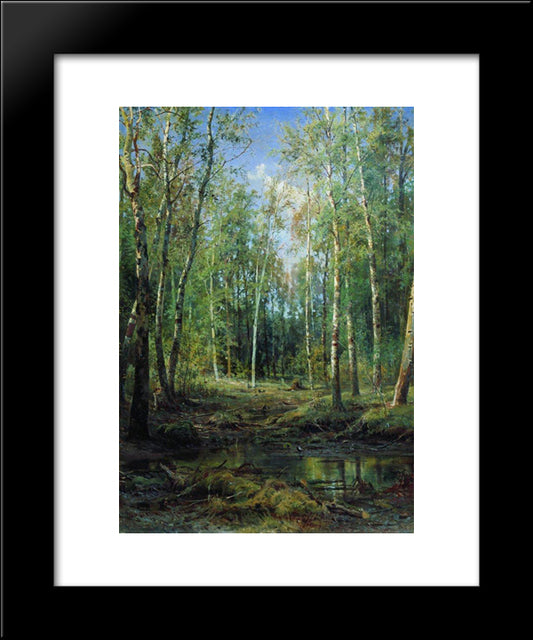 Birch Grove 20x24 Black Modern Wood Framed Art Print Poster by Shishkin, Ivan