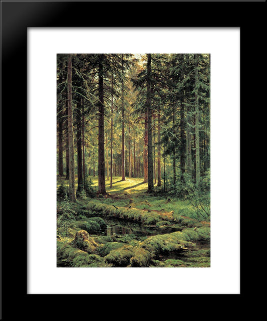 Coniferous Forest. Sunny Day 20x24 Black Modern Wood Framed Art Print Poster by Shishkin, Ivan