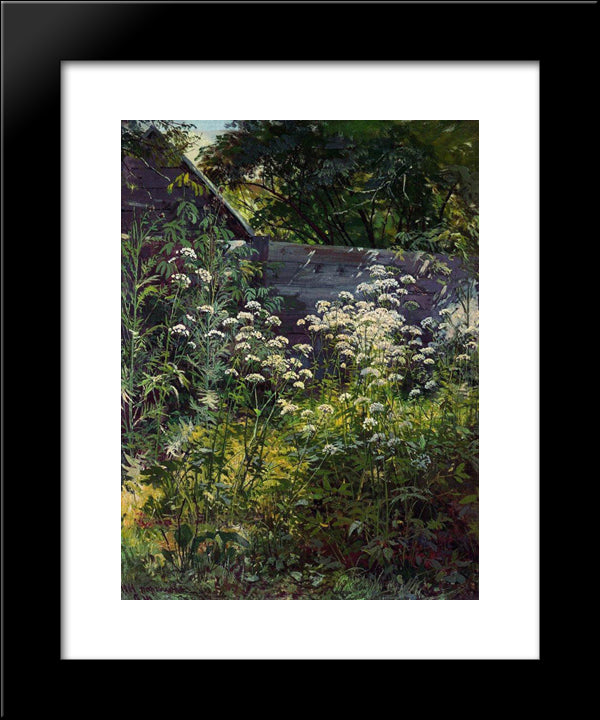 Corner Of Overgrown Garden. Goutweed-Grass 20x24 Black Modern Wood Framed Art Print Poster by Shishkin, Ivan