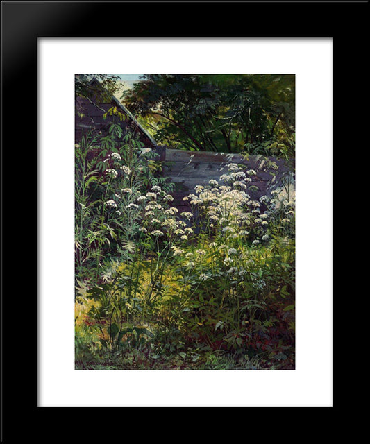 Corner Of Overgrown Garden. Goutweed-Grass 20x24 Black Modern Wood Framed Art Print Poster by Shishkin, Ivan