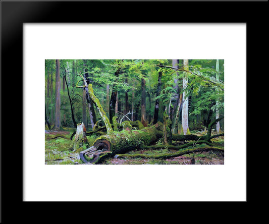 Cut Down Oak In The Bialowiezka Forest 20x24 Black Modern Wood Framed Art Print Poster by Shishkin, Ivan