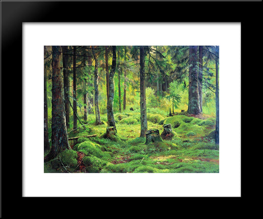 Deadwood 20x24 Black Modern Wood Framed Art Print Poster by Shishkin, Ivan