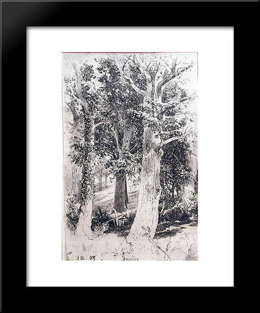 Etude 20x24 Black Modern Wood Framed Art Print Poster by Shishkin, Ivan