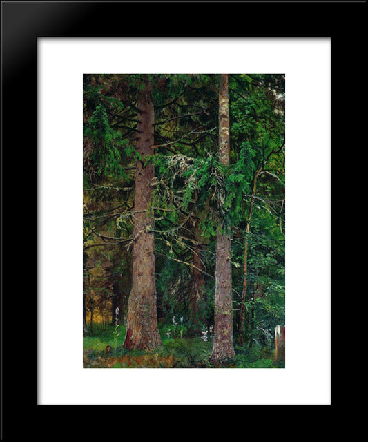 Fir Forest 20x24 Black Modern Wood Framed Art Print Poster by Shishkin, Ivan