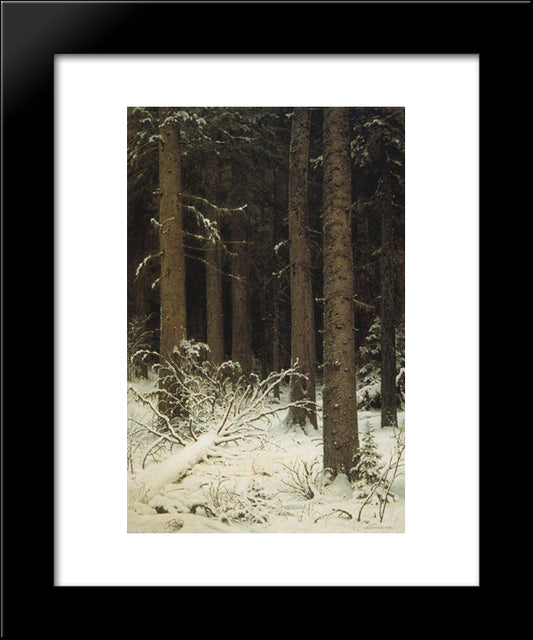 Fir Forest In Winter 20x24 Black Modern Wood Framed Art Print Poster by Shishkin, Ivan