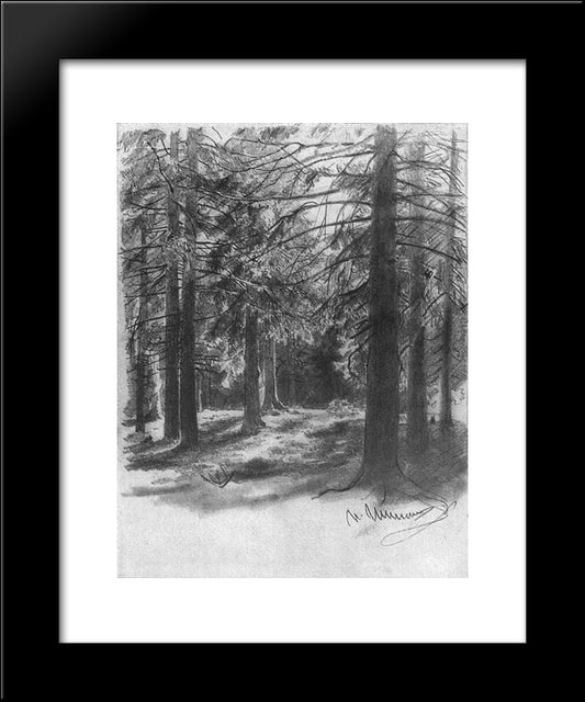 Fir In Sunlight 20x24 Black Modern Wood Framed Art Print Poster by Shishkin, Ivan