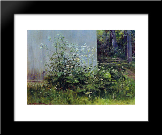 Flowers At The Fence 20x24 Black Modern Wood Framed Art Print Poster by Shishkin, Ivan