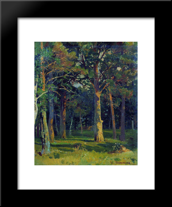 Forest, Pine 20x24 Black Modern Wood Framed Art Print Poster by Shishkin, Ivan
