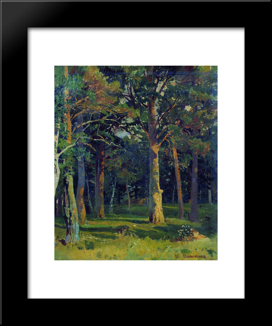 Forest, Pine 20x24 Black Modern Wood Framed Art Print Poster by Shishkin, Ivan
