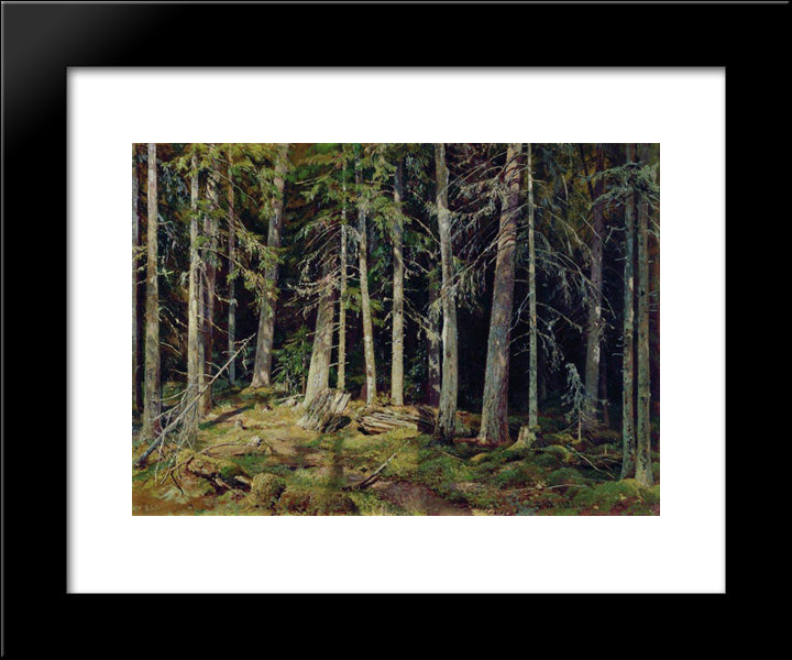 Forest. Mounds 20x24 Black Modern Wood Framed Art Print Poster by Shishkin, Ivan