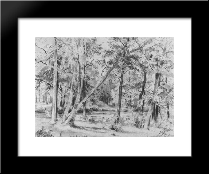 Forest 20x24 Black Modern Wood Framed Art Print Poster by Shishkin, Ivan
