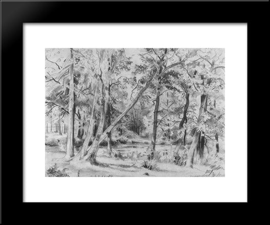Forest 20x24 Black Modern Wood Framed Art Print Poster by Shishkin, Ivan