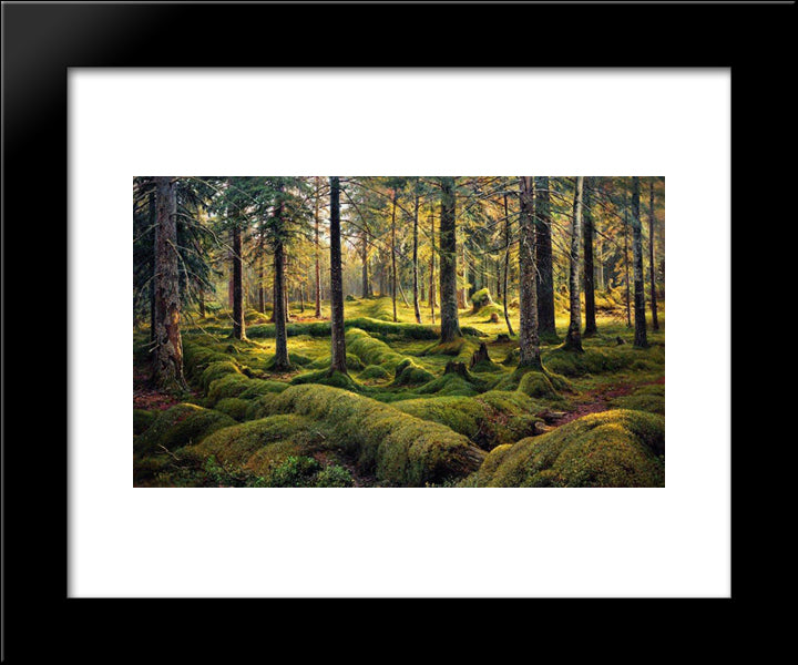 Forest Cemetery 20x24 Black Modern Wood Framed Art Print Poster by Shishkin, Ivan