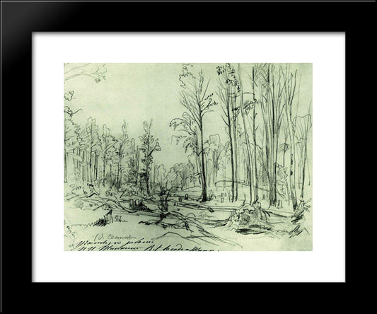 Forest Cutting 20x24 Black Modern Wood Framed Art Print Poster by Shishkin, Ivan