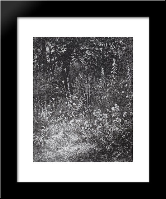 Forest Flowers 20x24 Black Modern Wood Framed Art Print Poster by Shishkin, Ivan