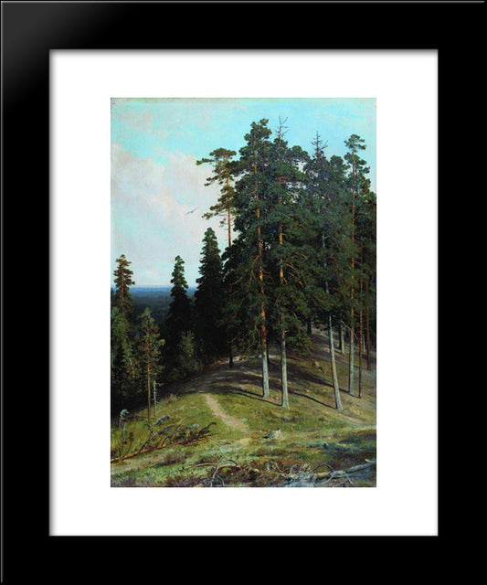 Forest From The Mountain 20x24 Black Modern Wood Framed Art Print Poster by Shishkin, Ivan