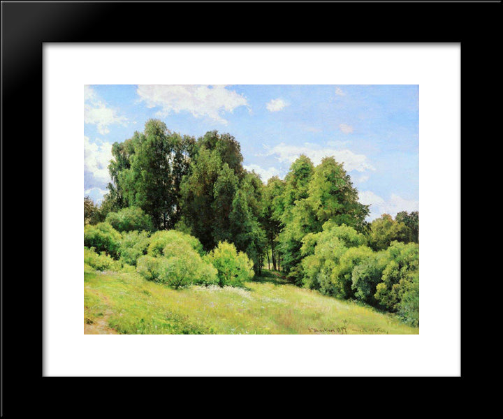 Forest Glade (Glade) 20x24 Black Modern Wood Framed Art Print Poster by Shishkin, Ivan