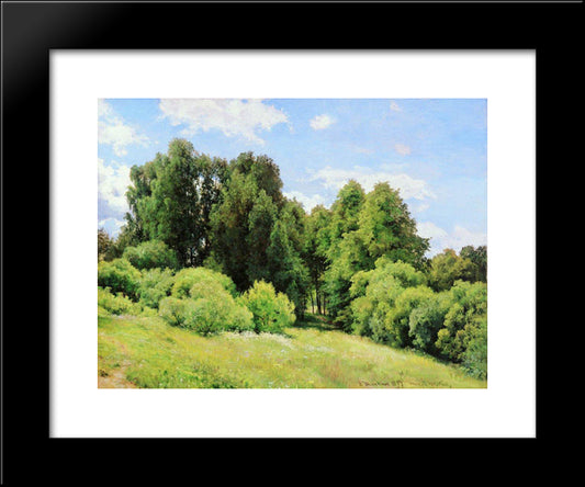 Forest Glade (Glade) 20x24 Black Modern Wood Framed Art Print Poster by Shishkin, Ivan