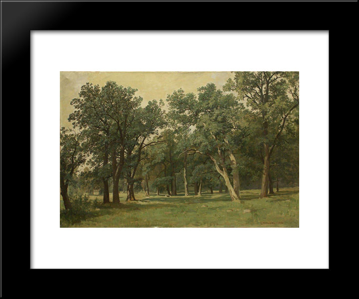 Forest Glade 20x24 Black Modern Wood Framed Art Print Poster by Shishkin, Ivan